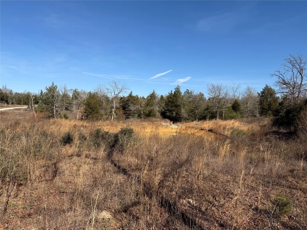 20 Cr 389 Jewett, TX 75846