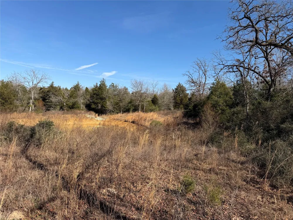20 Cr 389 Jewett, TX 75846