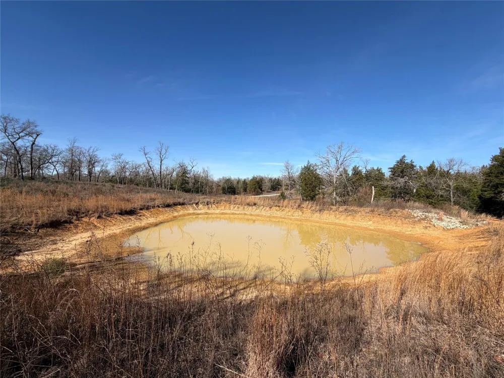 20 Cr 389 Jewett, TX 75846