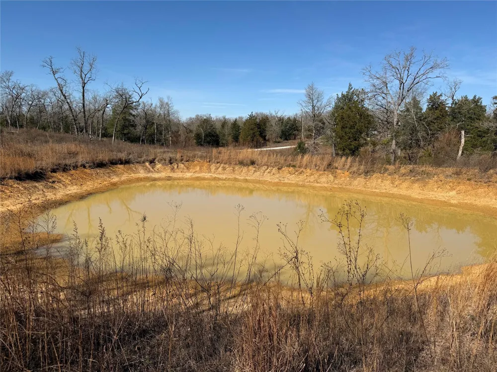 20 Cr 389 Jewett, TX 75846