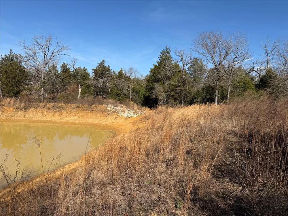 20 Cr 389 Jewett, TX 75846