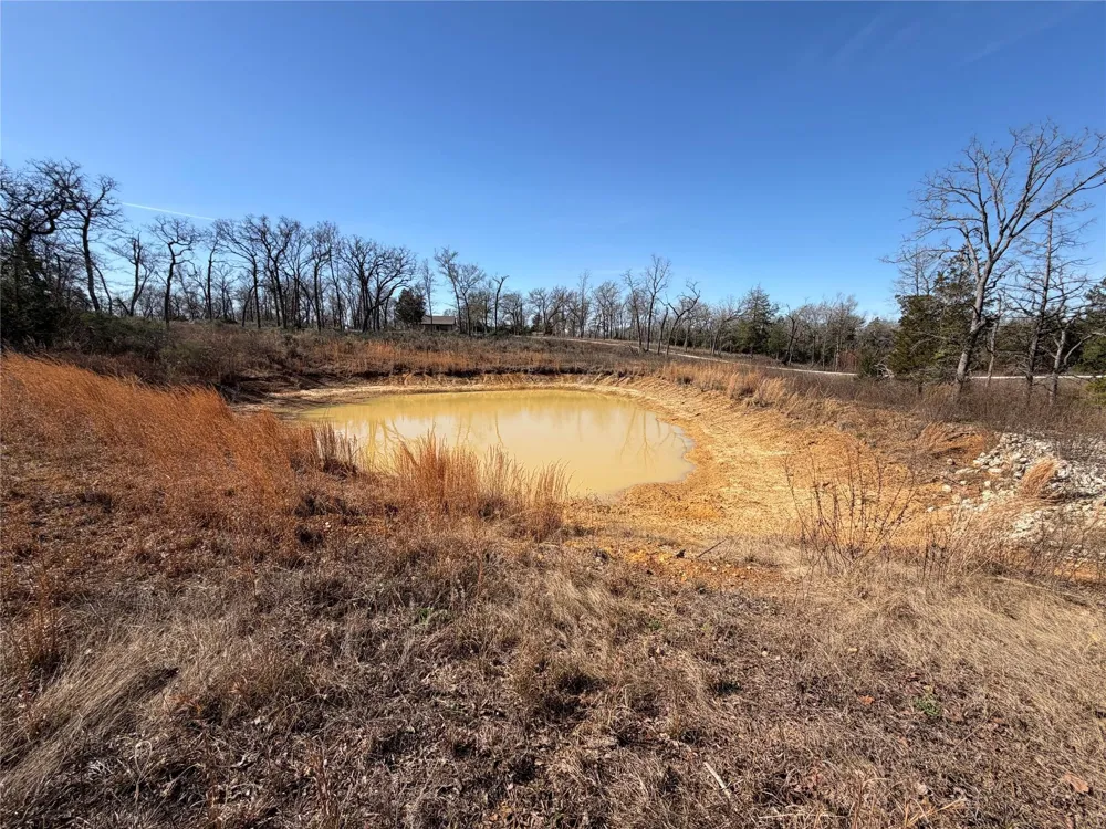 20 Cr 389 Jewett, TX 75846