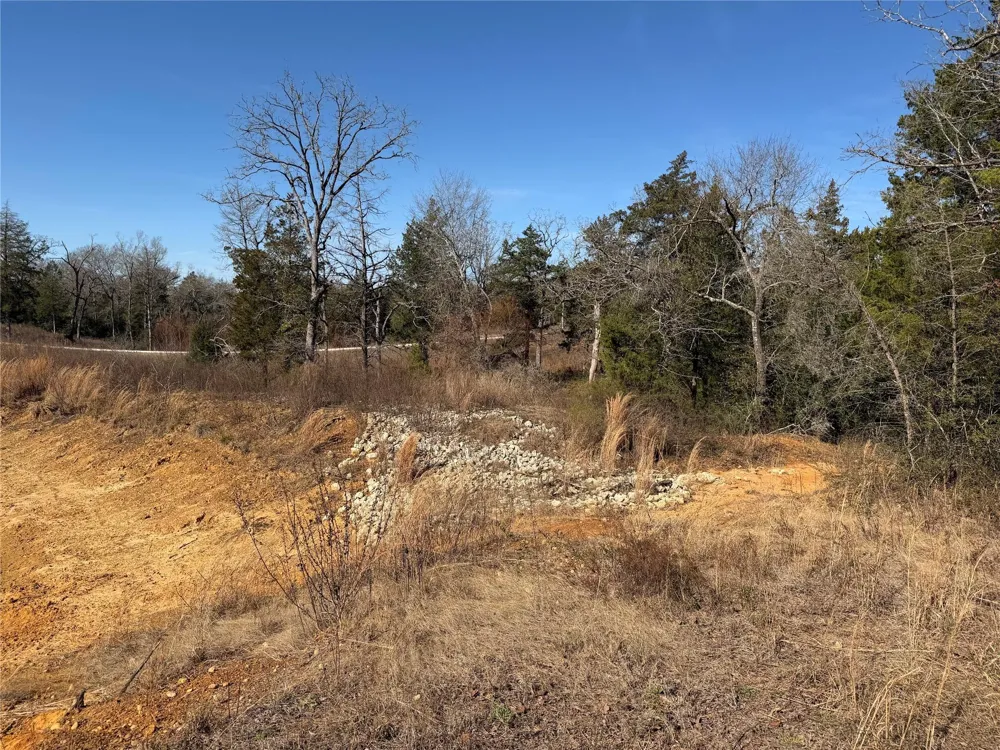 20 Cr 389 Jewett, TX 75846