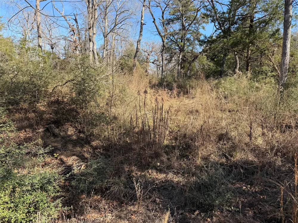 20 Cr 389 Jewett, TX 75846