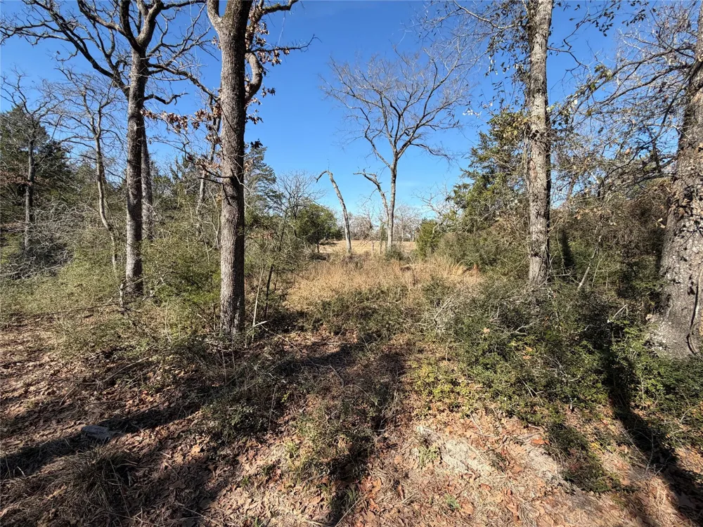 20 Cr 389 Jewett, TX 75846