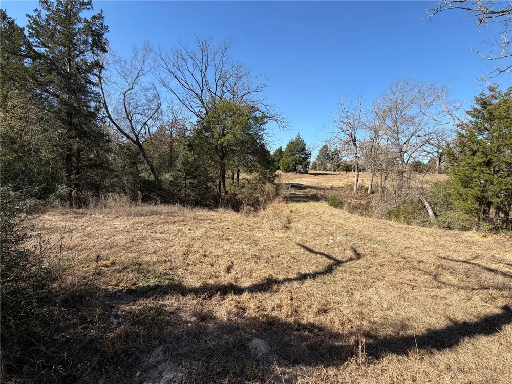 20 Cr 389 Jewett, TX 75846