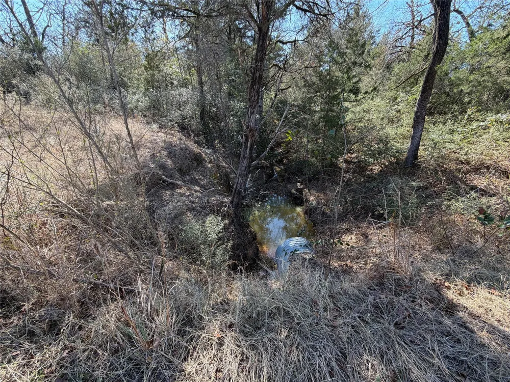 20 Cr 389 Jewett, TX 75846