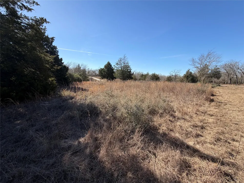 20 Cr 389 Jewett, TX 75846