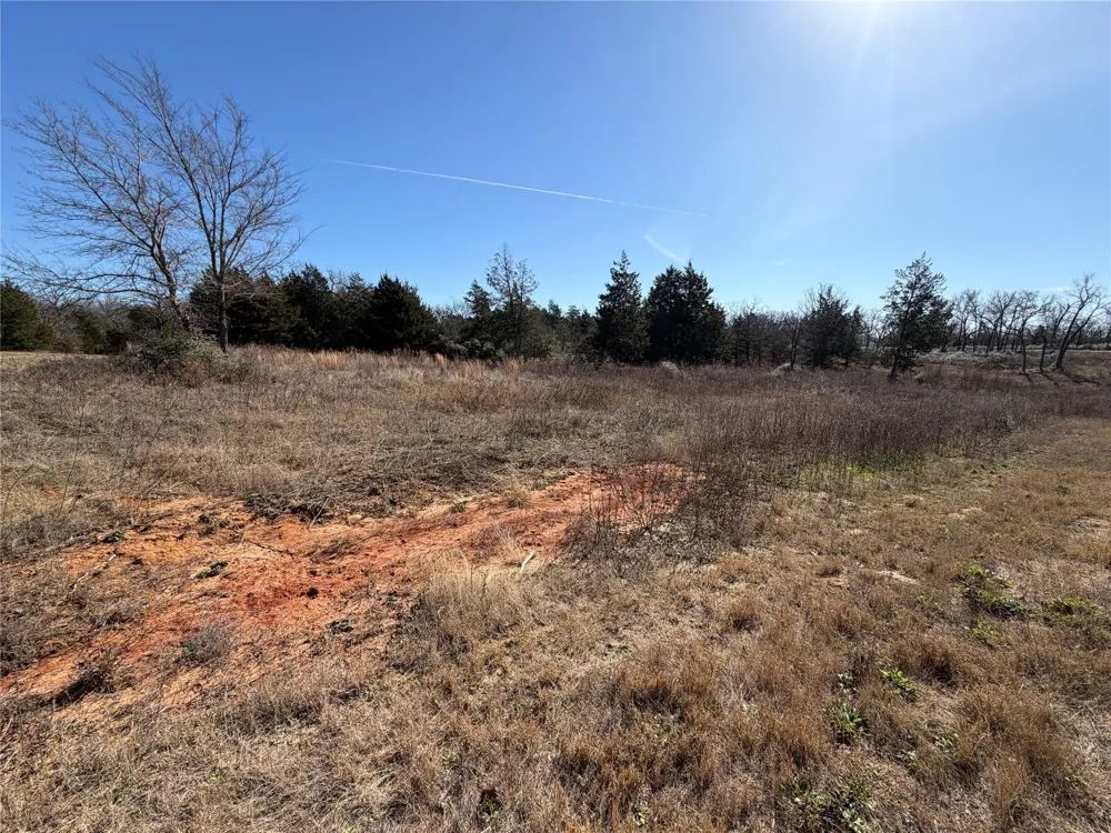 20 Cr 389 Jewett, TX 75846