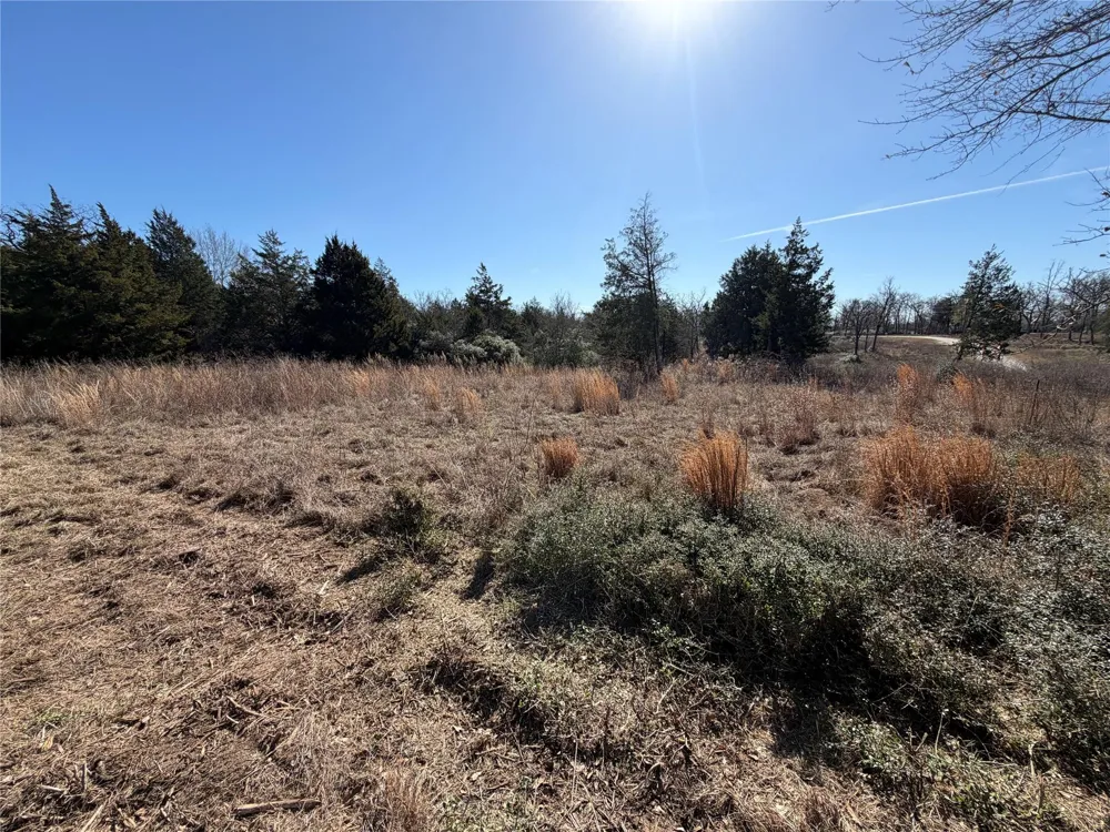 20 Cr 389 Jewett, TX 75846