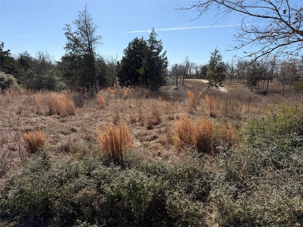 20 Cr 389 Jewett, TX 75846