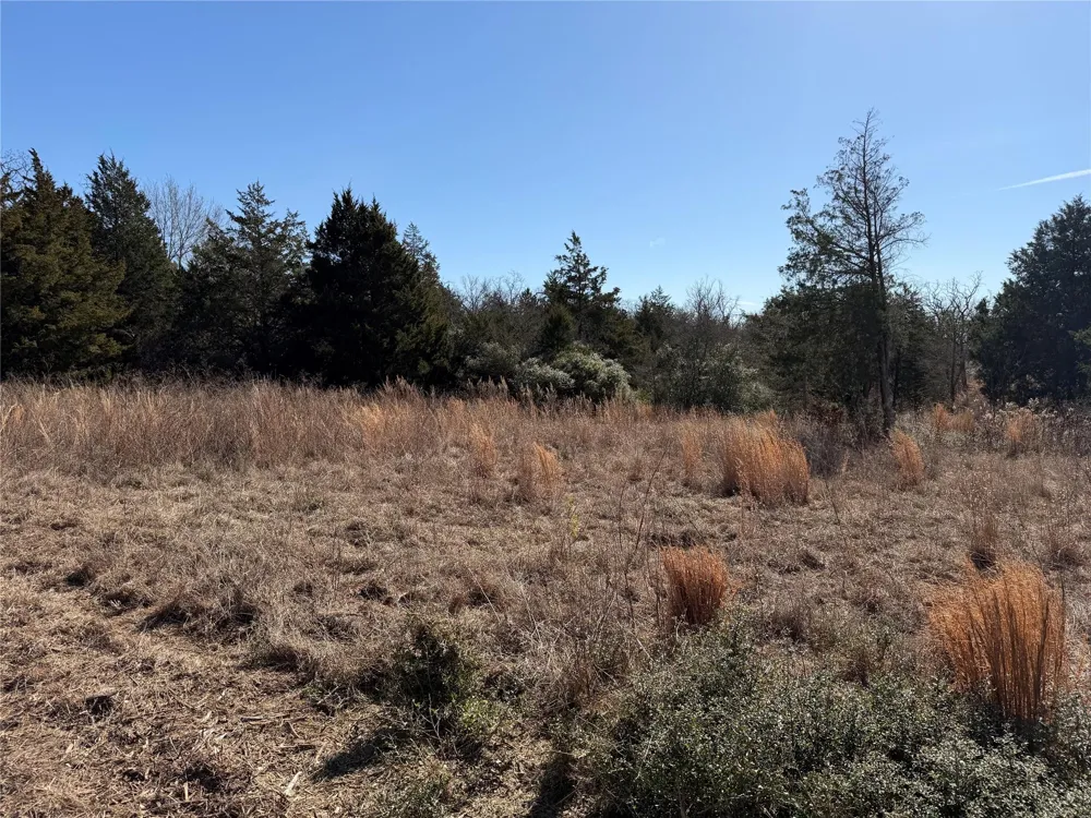 20 Cr 389 Jewett, TX 75846
