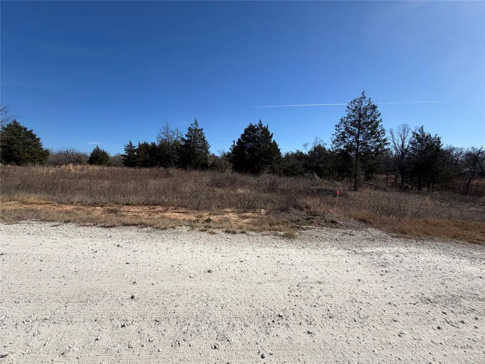 20 Cr 389 Jewett, TX 75846