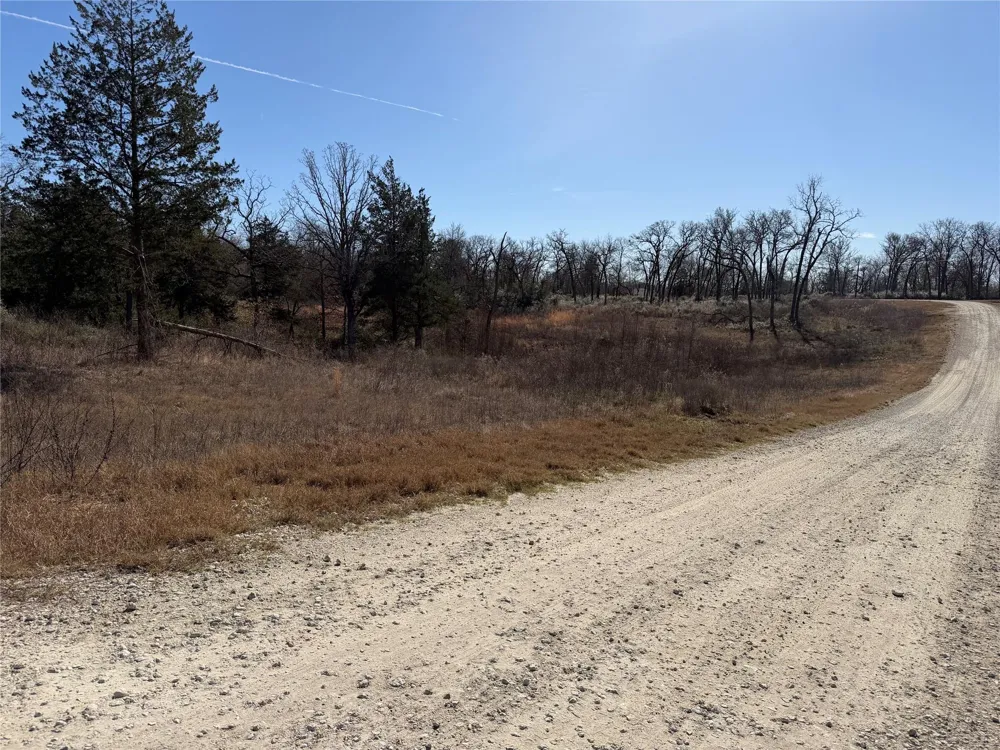 20 Cr 389 Jewett, TX 75846