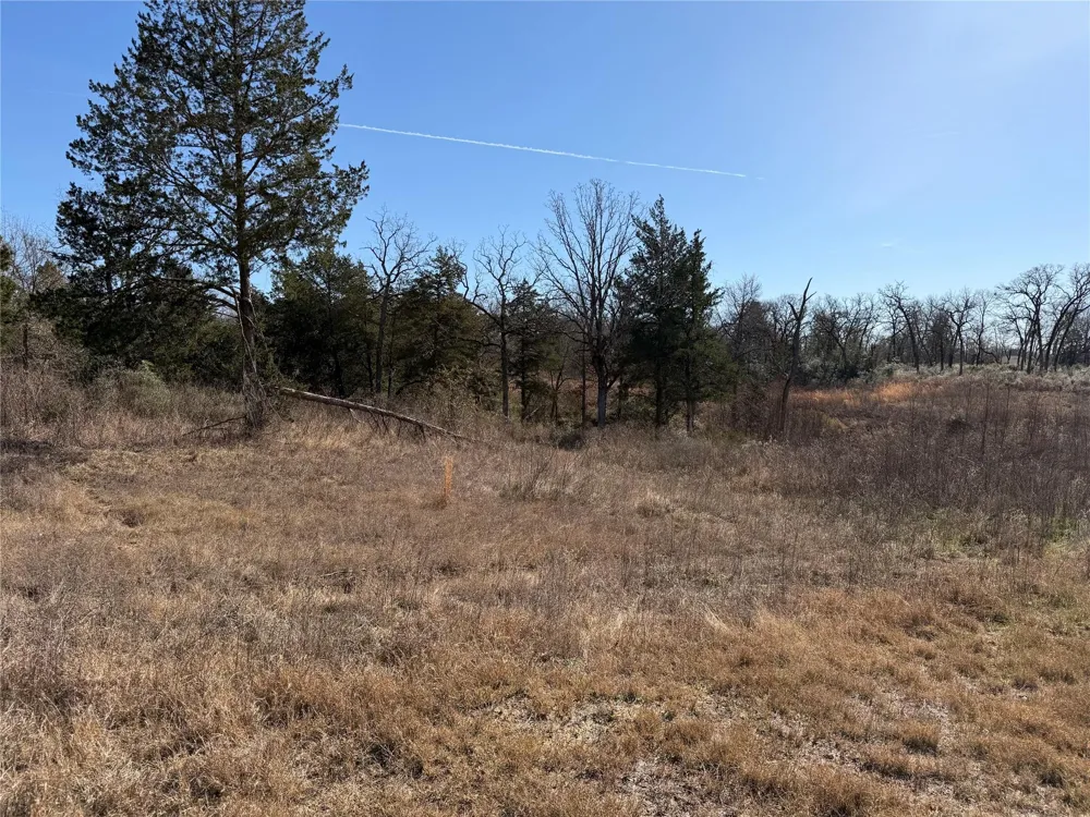 20 Cr 389 Jewett, TX 75846