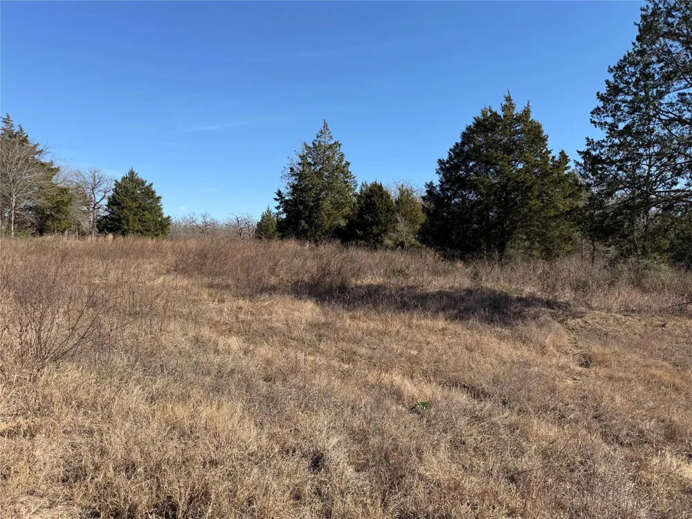 20 Cr 389 Jewett, TX 75846
