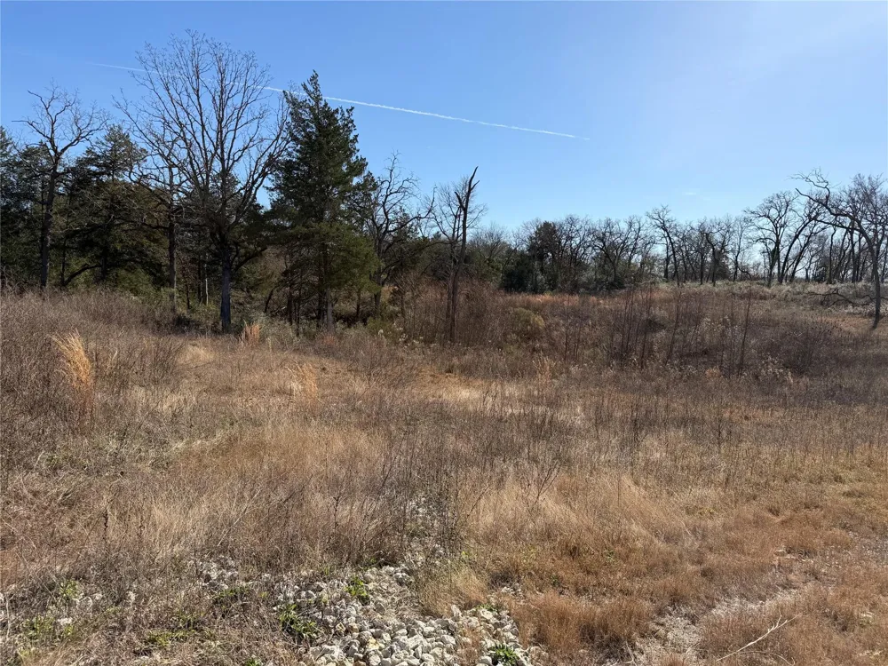 20 Cr 389 Jewett, TX 75846