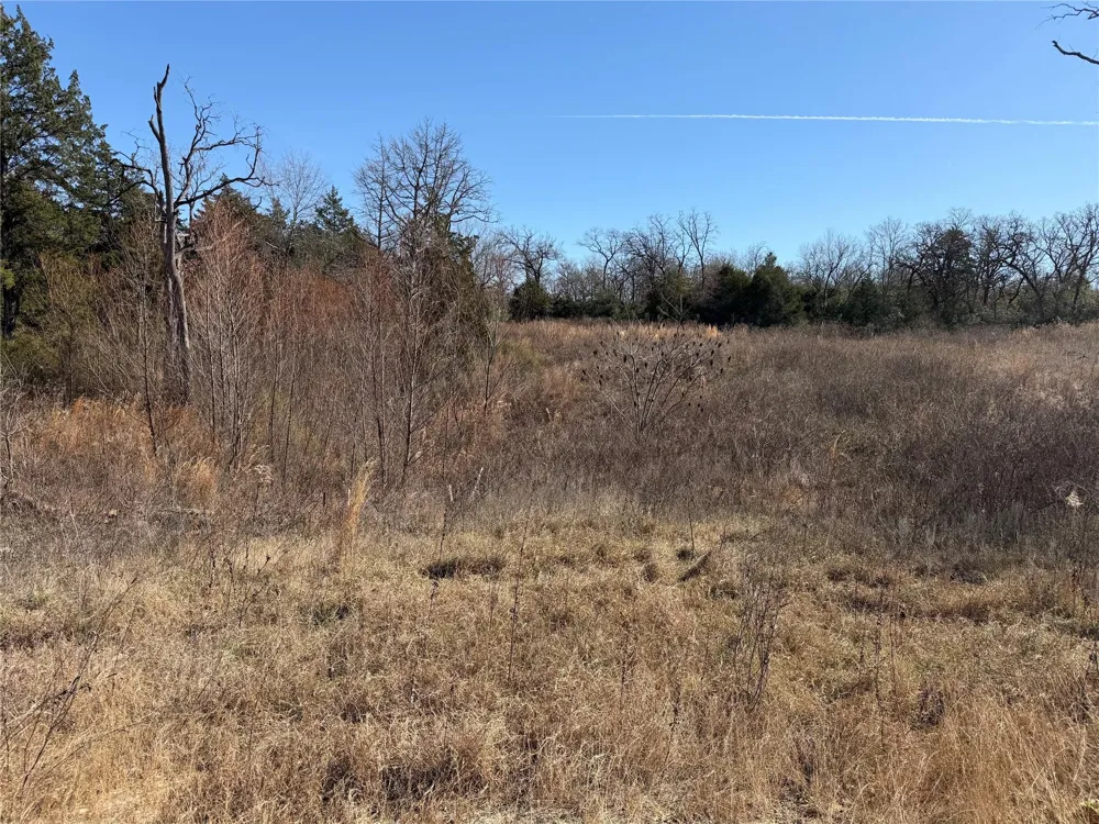 20 Cr 389 Jewett, TX 75846