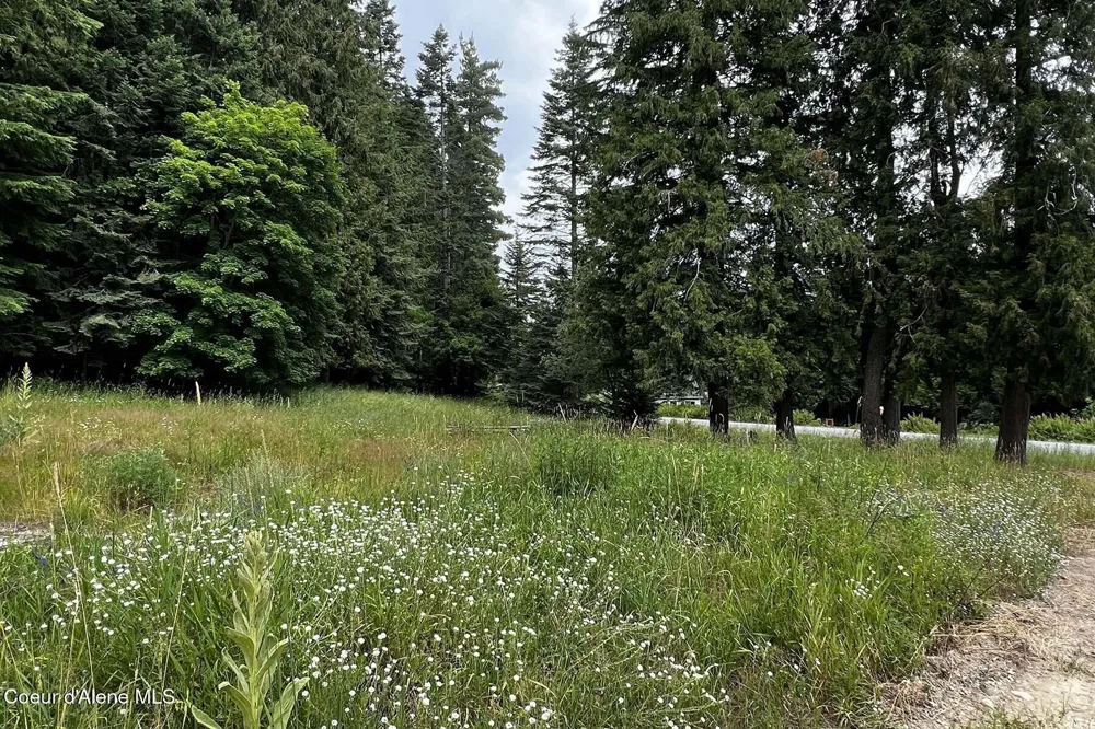 111 Wrenco Loop Road Sandpoint, ID 83864