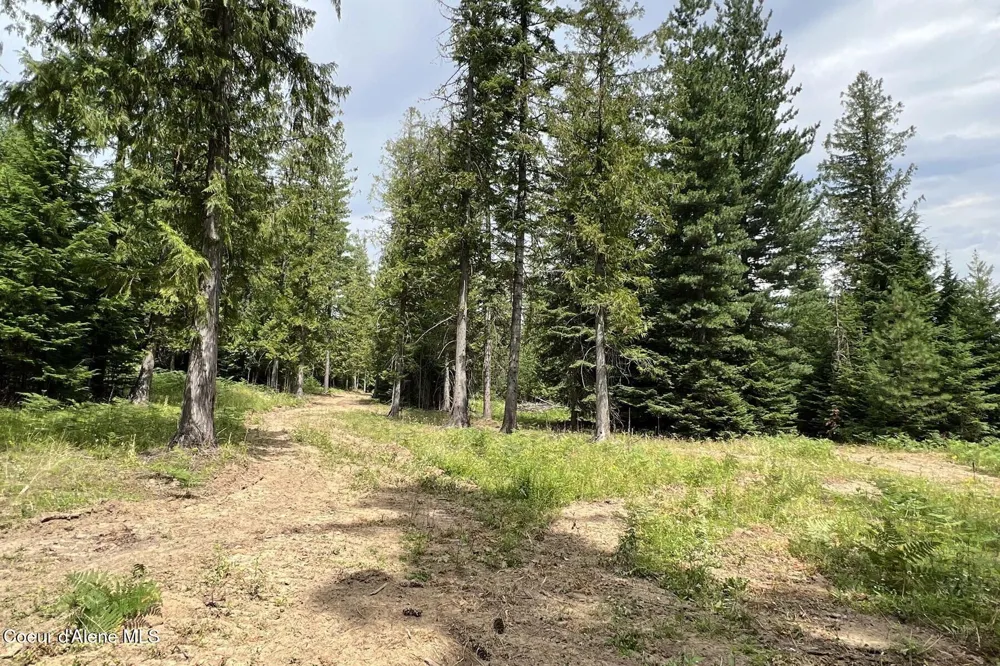111 Wrenco Loop Road Sandpoint, ID 83864