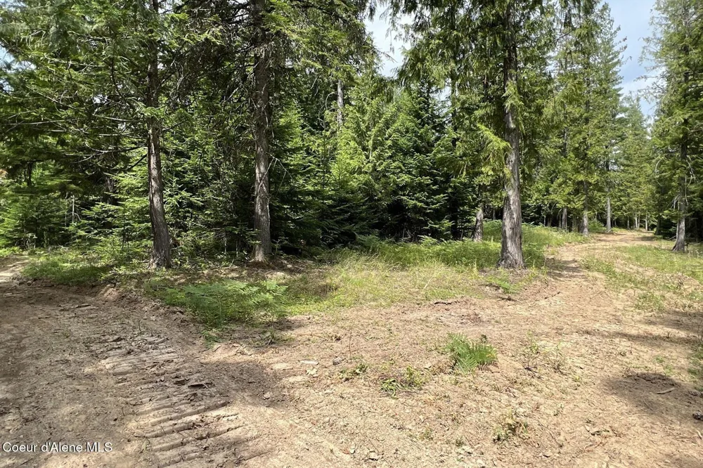 111 Wrenco Loop Road Sandpoint, ID 83864