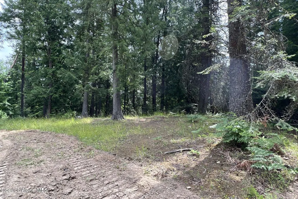 111 Wrenco Loop Road Sandpoint, ID 83864