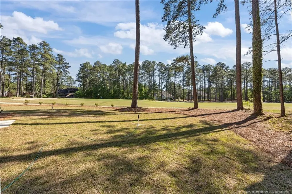 28880 Deercroft Drive Wagram, NC 28396
