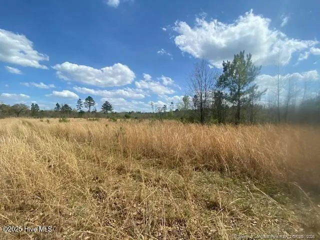 28385 Aberdeen Road Wagram, NC 28396