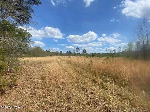 28385 Aberdeen Road Wagram, NC 28396