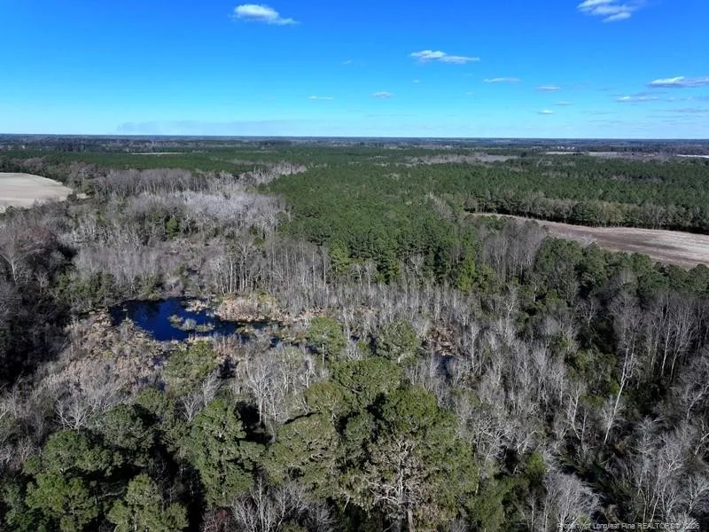 TBD Stuarts Mill Road Fairmont, NC 28340