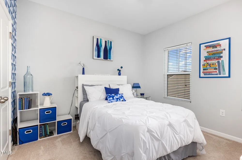 217 Jones Hill Road Holly Springs, NC 27540