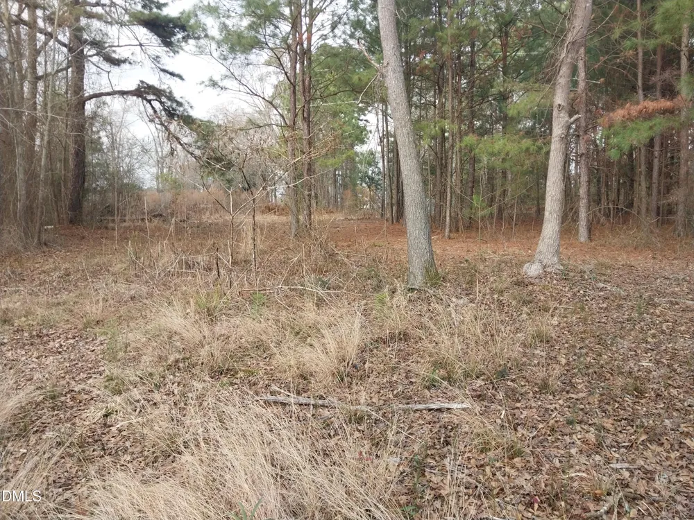 6741 Wimberly Road Willow Springs, NC 27592