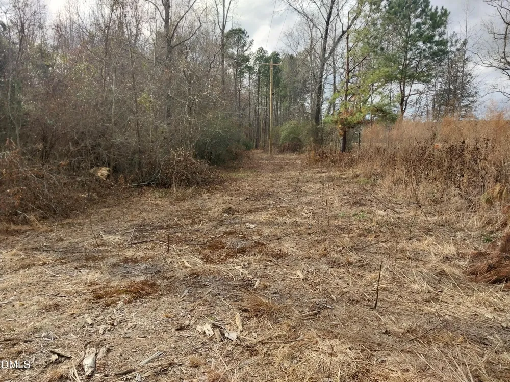 6741 Wimberly Road Willow Springs, NC 27592