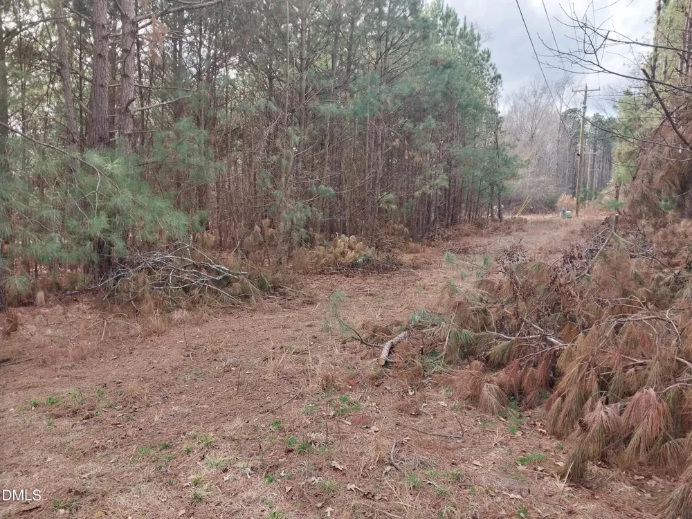 6741 Wimberly Road Willow Springs, NC 27592