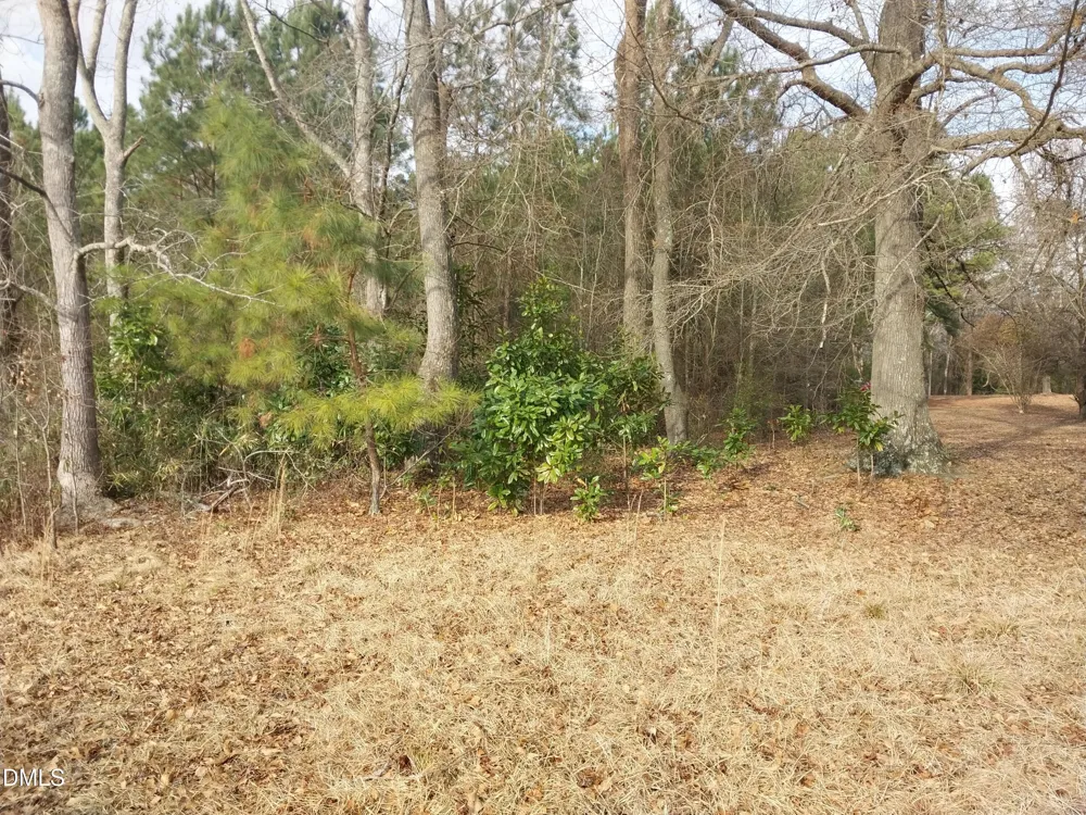 6741 Wimberly Road Willow Springs, NC 27592
