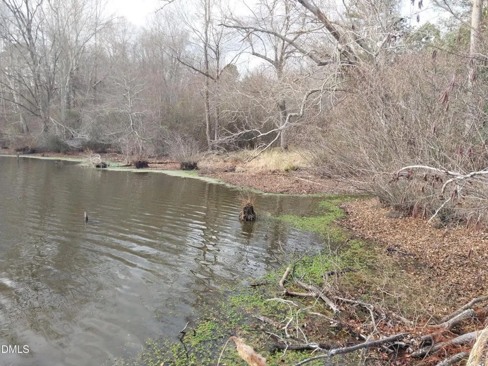 6741 Wimberly Road Willow Springs, NC 27592