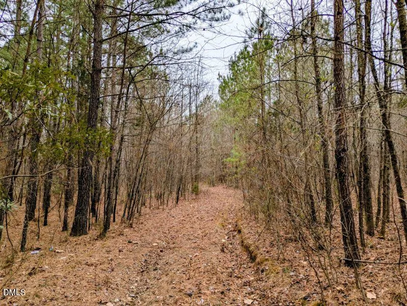 Lot #8 Mount Olivet Church Franklinton, NC 27525