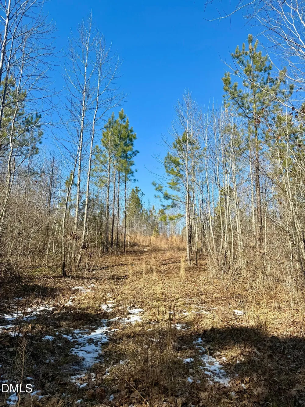 0 Warren Woods Street Warrenton, NC 27589