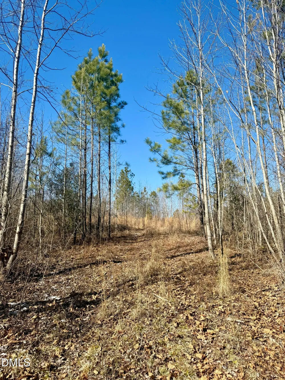 0 Warren Woods Street Warrenton, NC 27589