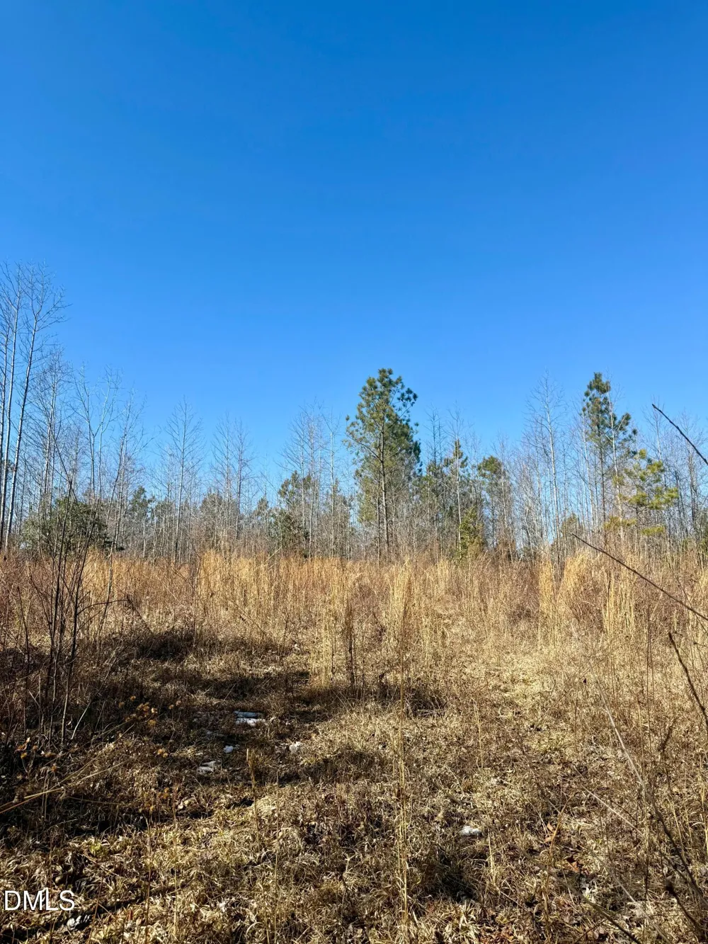 0 Warren Woods Street Warrenton, NC 27589