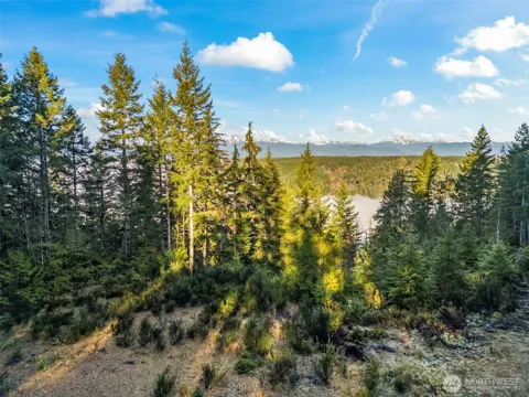 1133 E Timber Tides Drive
