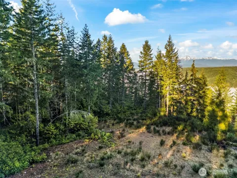 1123 E Timber Tides Drive