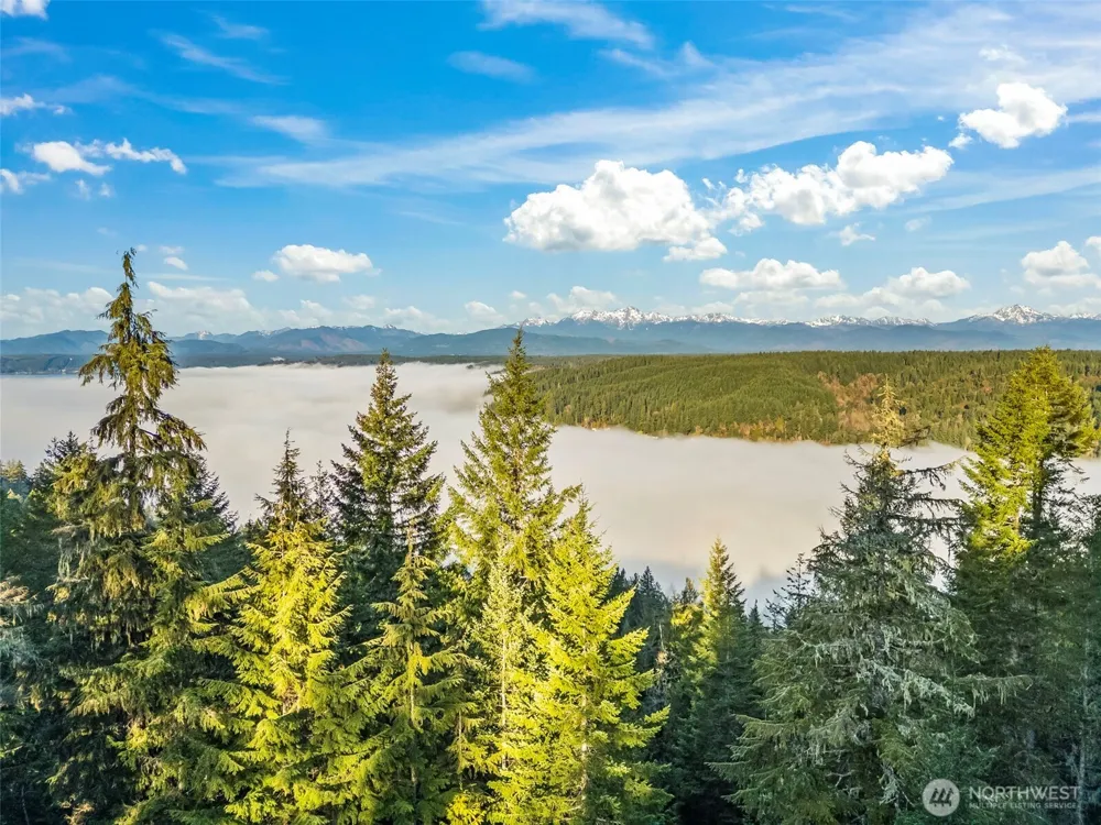 1123 E Timber Tides Drive Union, WA 98592