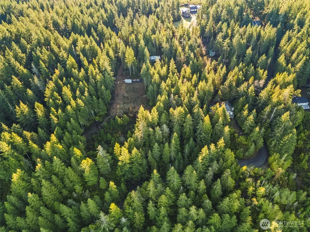 1123 E Timber Tides Drive Union, WA 98592