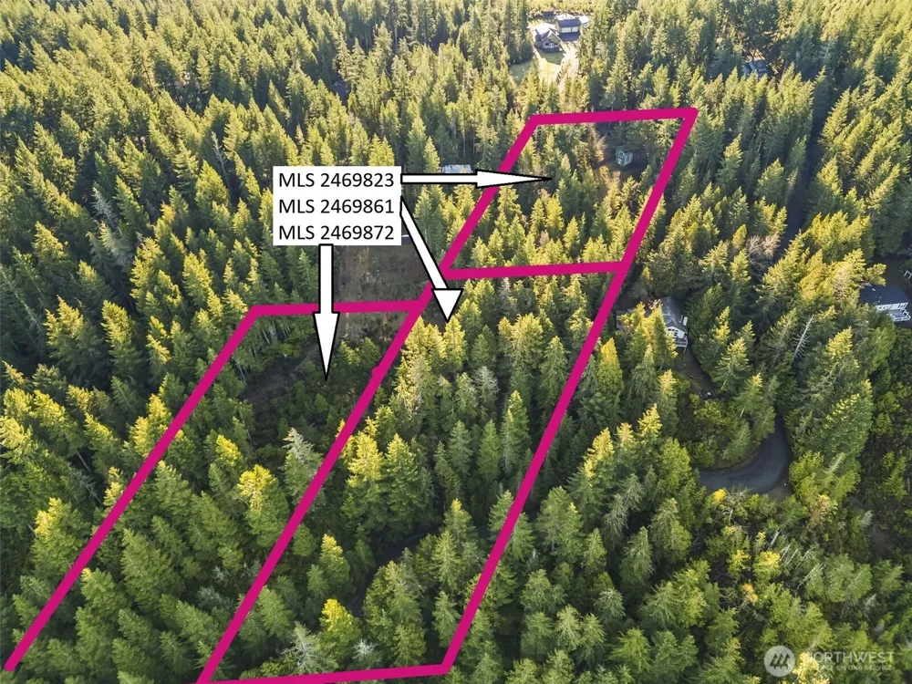 1123 E Timber Tides Drive Union, WA 98592
