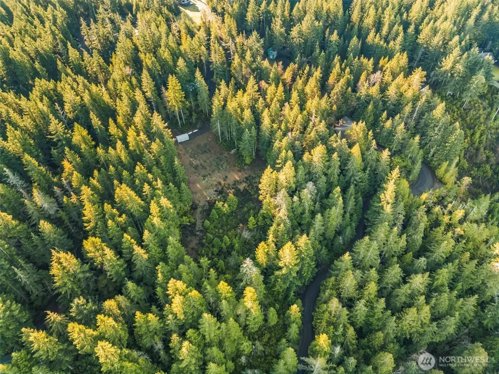 1123 E Timber Tides Drive Union, WA 98592