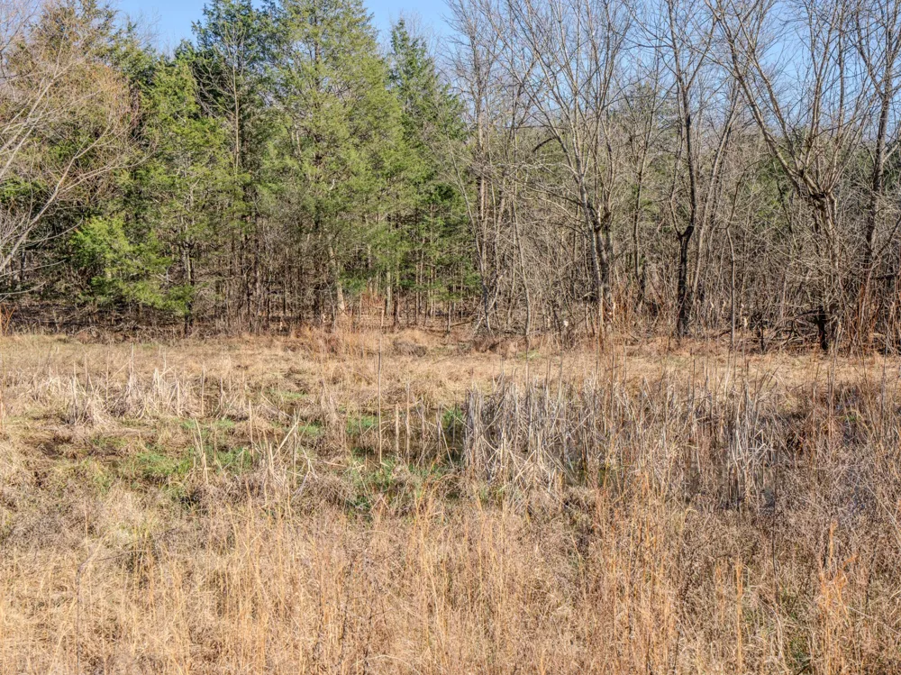 0 Lasea Rd Spring Hill, TN 37174
