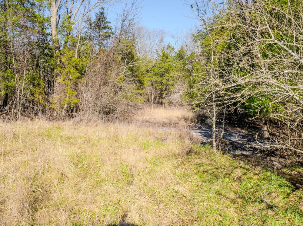0 Lasea Rd Spring Hill, TN 37174