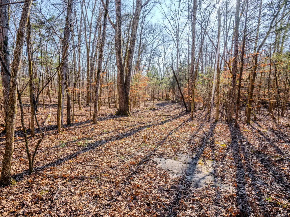 0 Lasea Rd Spring Hill, TN 37174