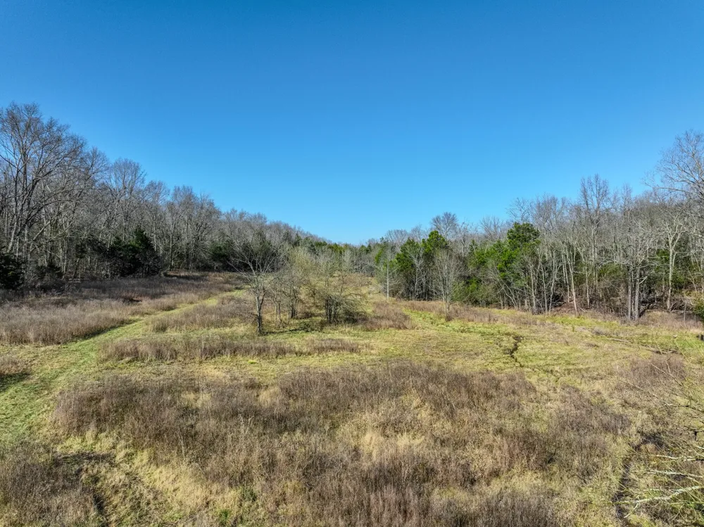 0 Lasea Rd Spring Hill, TN 37174